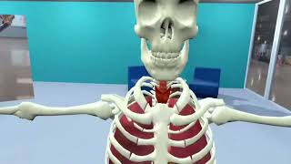 Unreal Engine Simulation  Modeled and Simulated Spaces for Anatomy Education [upl. by Zendah]