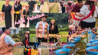 Adat Petated Lun Bawang tribe wedding ceremony celebration 🌾 at Long Tanid Lawas Sarawak🇲🇾 [upl. by Aikemaj616]