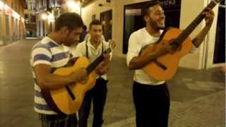 Los muchachos gitanos nos cantan en Sevilla [upl. by Adnamra]