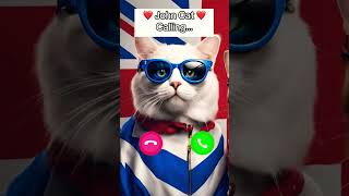 Iphone 16 cat ringtone shorts viralvideo [upl. by Thin]