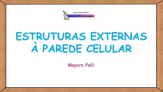 Fímbrias Pili Glicocálice Flagelos e Filamentos Axiais  Estruturas Externas à Parede Celular [upl. by Ellocin]