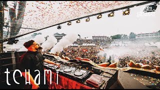 Tchami Drops Only  Tomorrowland 2017 Main Stage [upl. by Eterg]