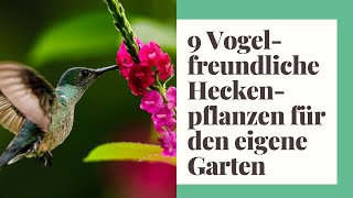 9 Vogelfreundliche Heckenpflanzen für den eigene Garten [upl. by Nekcerb]