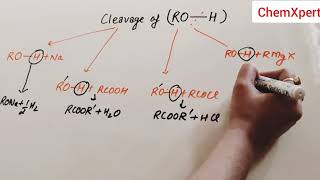 Chemical Reactions Of Alcohol Chemistry Class 12  Alcohol Phenols and Ether CBSE NCERT [upl. by Tani482]