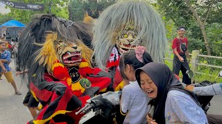 BARONGAN NGAMUK  Arak Arakan Barongan Blora amp Reog Ponorogo Sekar Gading Seto Live Bogorejo [upl. by Aryamo]