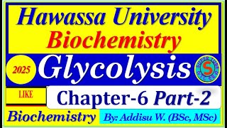 glycolysis metabolism metabolic pyruvate exercise biochemistry [upl. by Douville828]