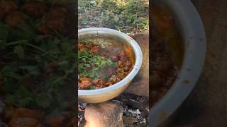 Chillforest cooking shorts trendingshorts yummy hyderabad tasty chicken fry picnic [upl. by Naveb]