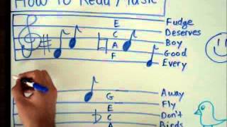 How to Read Music  Basics for Beginners  Music Theory Lesson [upl. by Cheng]