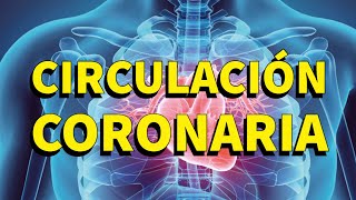 CIRCULACIÓN CORONARIA FISIOLOGÍA [upl. by Areht506]