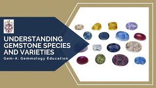 GemA Live Understanding Gemstone Species and Varieties [upl. by Forbes269]