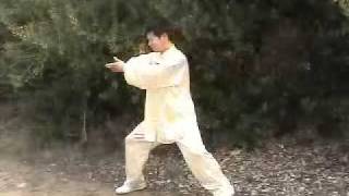 Shaolin Qigong Luohan 13 Forms Chi Kung [upl. by Eisej860]