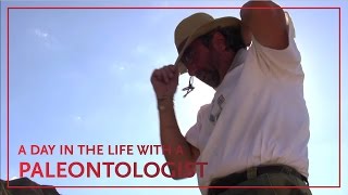 A Day in the Life of Paleontologist Thomas Carr [upl. by Eema]