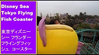 Disney Sea Tokyo Roller coaster Flounders Flying Fish Coaster  東京ディズニーシー フランダー フライングフィッシュ コースター [upl. by Feeley]