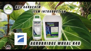 Foliar Intro2 Wuxal Series Wuxal K40 Your best choice fruiting foliar fertilizer [upl. by Lleroj]