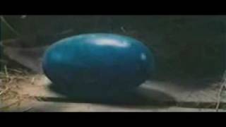 Eragon  Short TV Spot 1 in ITALIANO [upl. by Gypsy]