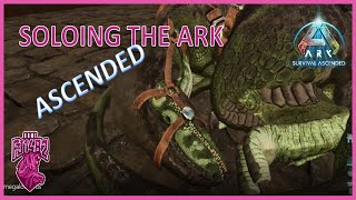 Taming Megalosaurus Soloing ARK Ascended Ep 39 [upl. by Letniuq175]