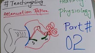 Ear  Hearing Physiology  Attenuation Reflex Part 02 [upl. by Nus271]