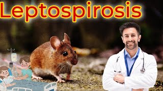 Leptospirosis Causes Signs and Symptoms Diagnosis and Treatment  leptospirosis disease [upl. by Pool]