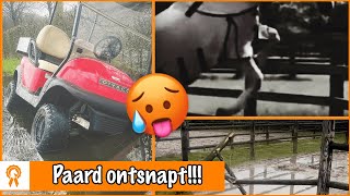 ONGELUKKEN OP STAL  PaardenpraatTV [upl. by Ora]