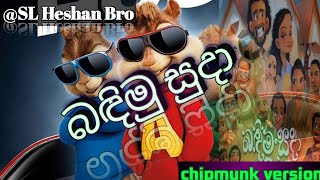 Piyath Rajapakshe Bandimu Suda බඳිමු සුදා  Chipmunk version ඇල්වින් හඬින්slheshanbro💚🤗 [upl. by Annavas78]