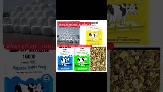 how to make corn silage  youtube shorts  shorts  shortfeed  cow feed  how to make Animal feed [upl. by Goebel237]