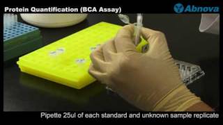 Protein Quantification BCA Assay [upl. by Durrace43]