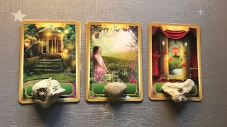 Pick a Card Hindi  Future Inlaws  Kaise Hongey Aapke In laws Reyas Tarot 🔮 [upl. by Trik]