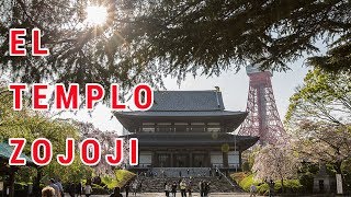 EL TEMPLO ZOJOJI ¡AL LADO DE LA TORRE DE TOKIO EN JAPÓN [upl. by Anelrahs]