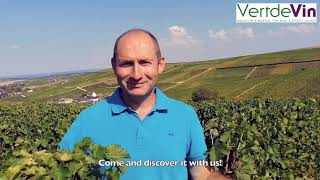 Didier Raimbault Domaine Roger et Didier Raimbault Sancerre speaks about the 2020 harvest amp wines [upl. by Corene779]