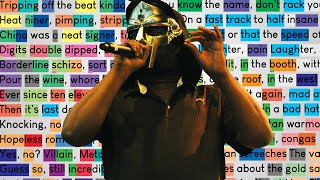 MF DOOM  Meat Grinder  Rhymes Highlighted [upl. by Assennav308]