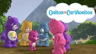 Ositos Cariñositos  Se responsable por tus actos [upl. by Eilesor545]