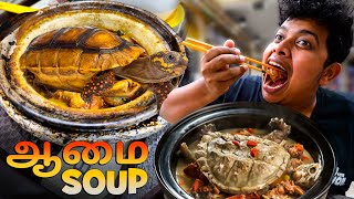 ஆமை கறி in Singapore  Exotic Food  Irfan’s View [upl. by Newg]