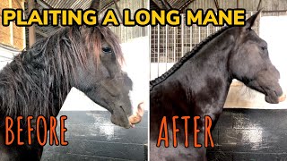 HOW TO CREST PLAIT A LONG HORSES MANE  Running braid technique and tutorial [upl. by Alahsal123]