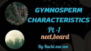 Gymnospermsclass 11plant kingdom general featurescbsencert biologyneetCBSEchapter3 [upl. by Mellisent]