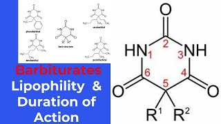 structureactivity relationship SAR of barbiturates [upl. by Nerrot]