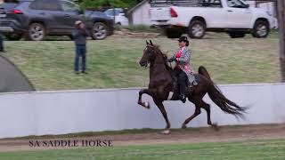 Koekie de Villiers and On Cloud Nine  Uniondale Show 5 Gaited Champion [upl. by Kara714]