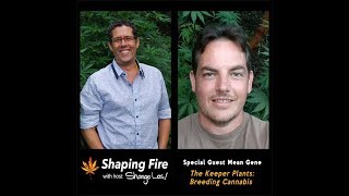 Shaping Fire Ep 24  The Keeper Plants Cannabis Breeding with guest Mean Gene [upl. by Anileva]