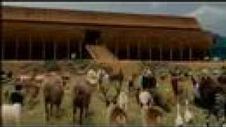 Noahs Ark Animal Parade 2 [upl. by Hanus]