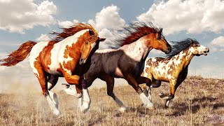 Wild Horses Natures Survivors in North America [upl. by Brahear587]