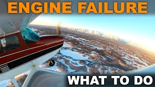 What to Do if Your Engine DIES in a Cessna 172 ENGINE FAILURE in FLIGHT [upl. by Edahsalof]