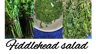 Fiddlehead fern saladFiddlehead fern recipe  How to prepare fiddlehead fern saladfood video [upl. by Artenal499]