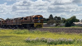 Aurizon 5DA2 at mallala SA [upl. by Nohs]