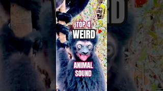 Weird animal sounds [upl. by Anneg]