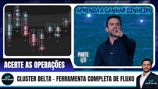 Cluster Delta  Ferramenta Completa de Fluxo para o MT5  Parte 13 mt5 bolsadevalores forex [upl. by Madai420]