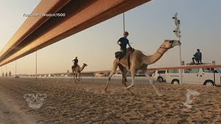 Kentucky camel jockey becomes first American to win race in Dubai [upl. by Pressman]