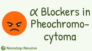 Use of Alpha Blockers in Pheochromocytoma [upl. by Ayardna548]