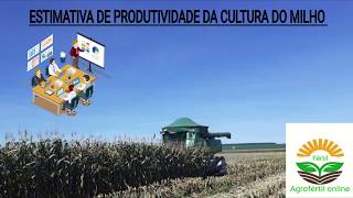 Estimativa de produtividade da cultura do milho  2 º ETAPA [upl. by Ayotnahs]