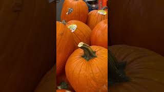 “Pumpkins” pumpkin october halloween freerverse poetry [upl. by Ahsiruam814]