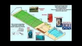 Aquaponics Systems [upl. by Tabshey]