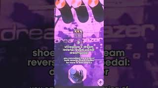 shoegazers dream reverse reverb pedal for shoegaze guitar shoegaze dreampop pedalboard [upl. by Sialac581]